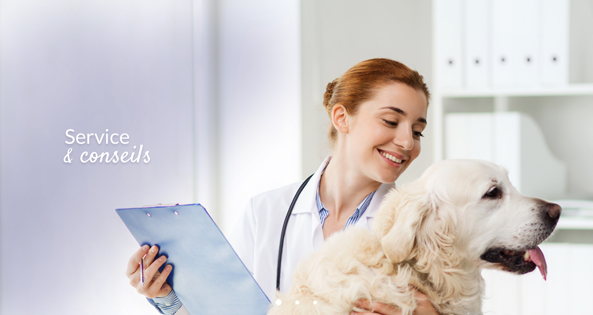 Advetis medical Service & conseils